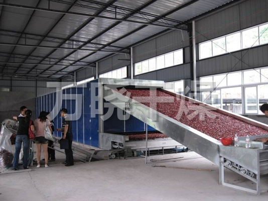 DWC系列脱水蔬菜带式干燥机