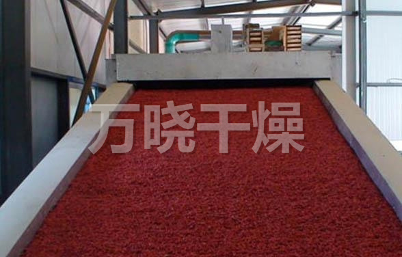 DWC系列脱水蔬菜带式干燥机