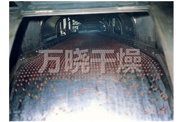 RL系列熔融造粒机